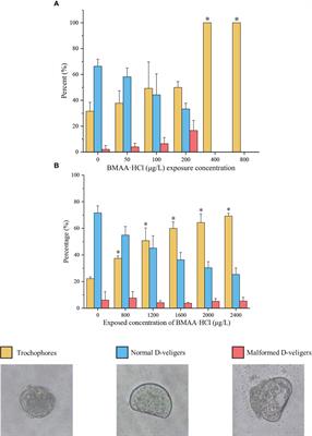 Effects of the neurotoxin β-N-methylamino-L-alanine (BMAA) on the early embryonic development of marine shellfish and fish